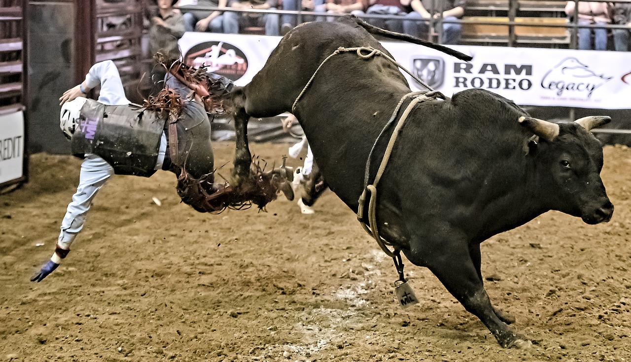 Bull Riding Delta Center Opinion: Bull riders should wear helmets – The Delta