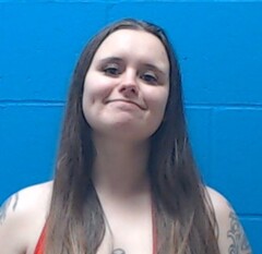 Kelsey Chalfant was charged with multiple felonies.